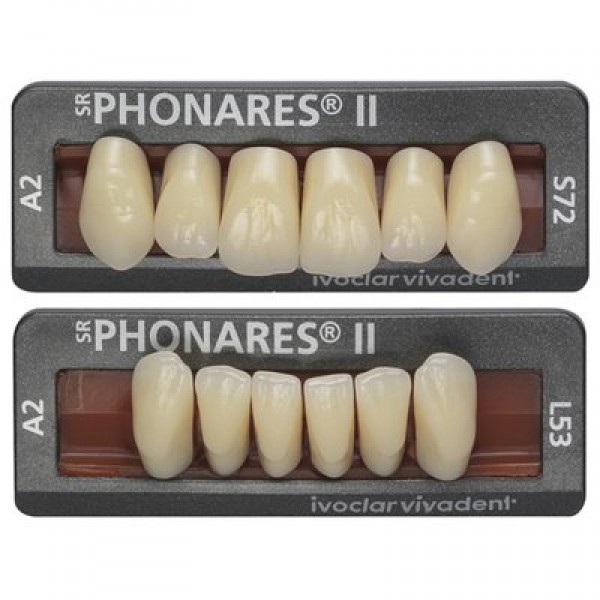 Dientes Phonares II Anterior 6 pzas*